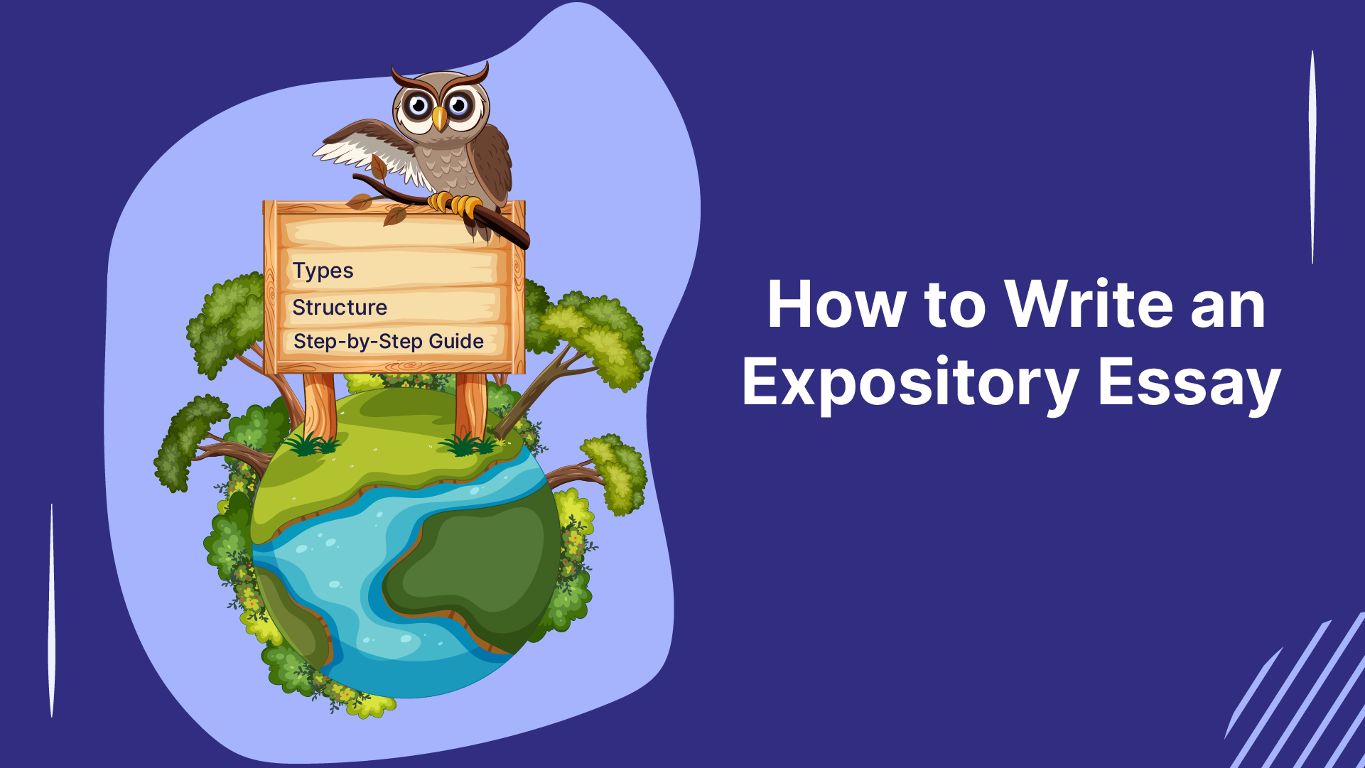 How to Write an Expository Essay: Types, Structure, and Step-by-Step Guide